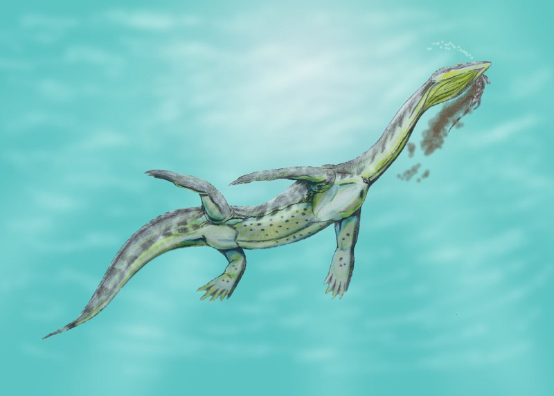 Кейчоузавр Keichousaurus
