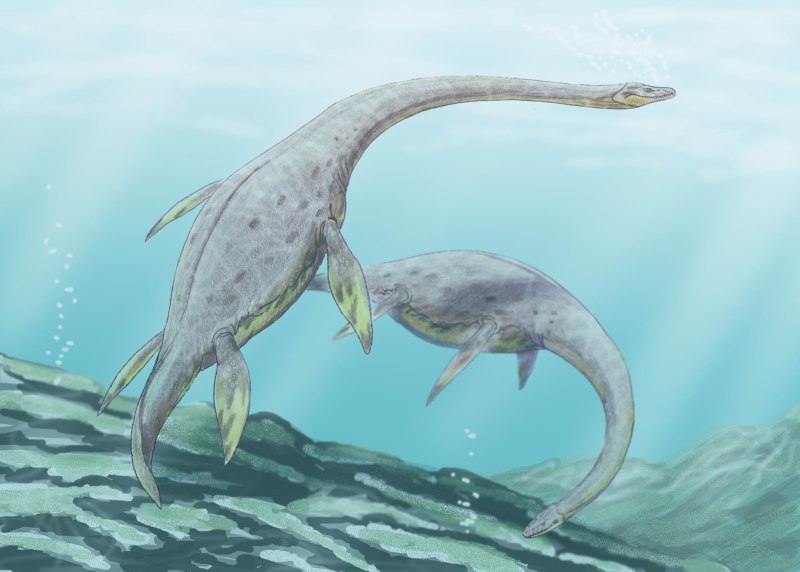Морской ящер Эласмозавр
