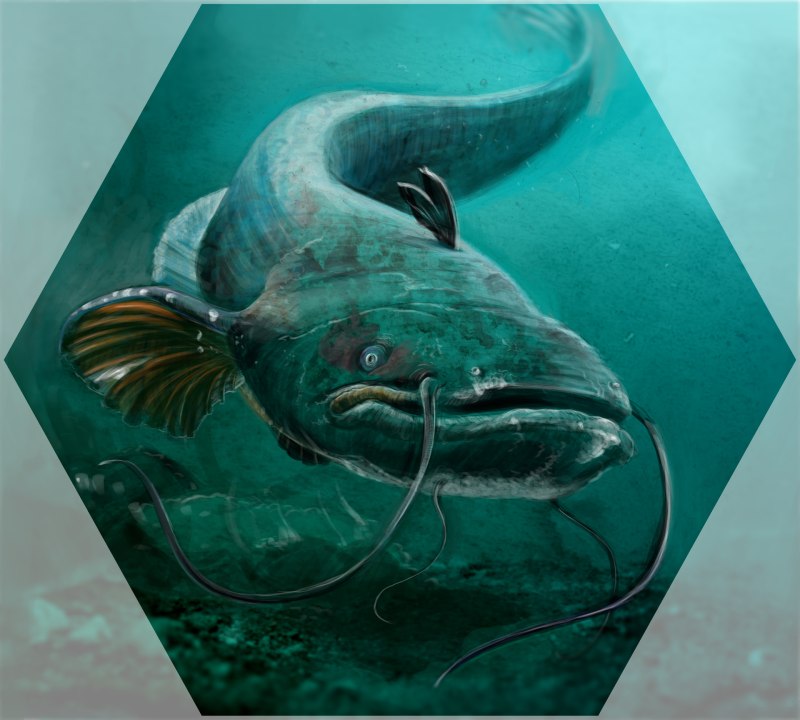 Catfish Ruinatrix
