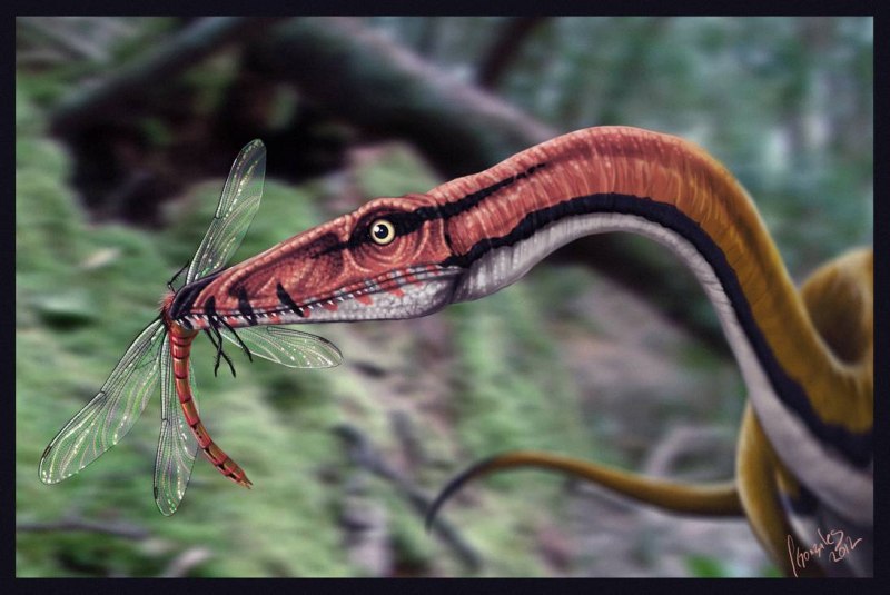 Coelophysis динозавр