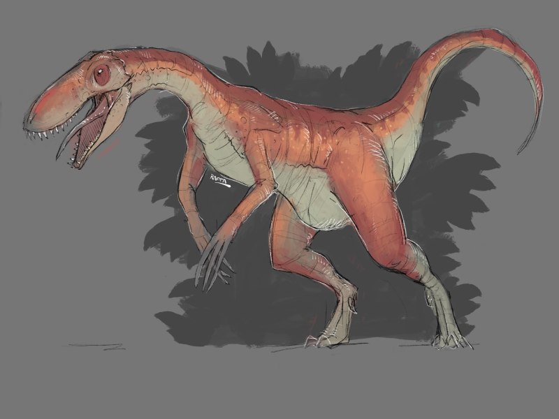 Coelophysis динозавр