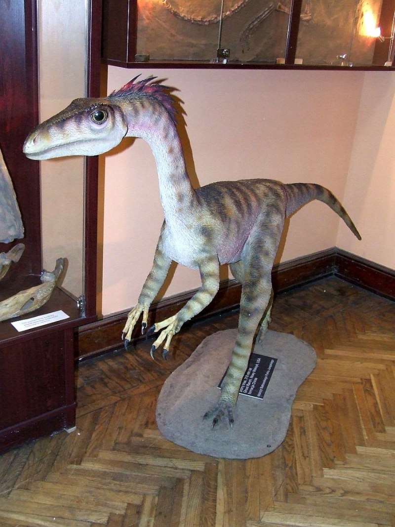 Целофизис Триас