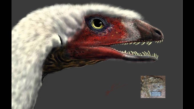Panguraptor lufengensis