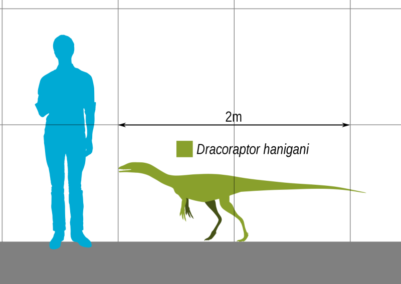 Condorraptor cisiopurple