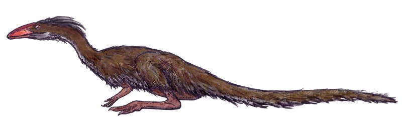 Podokesaurus holyokensis