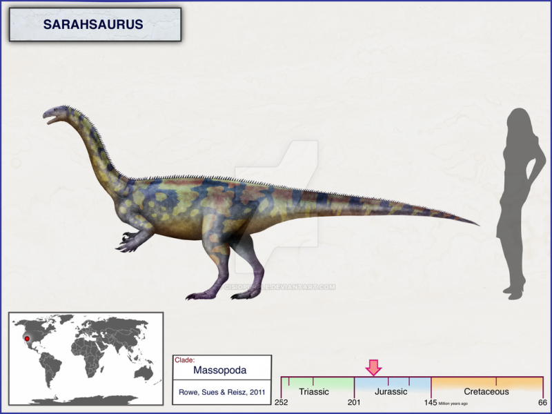 Sarahsaurus aurifontanalis