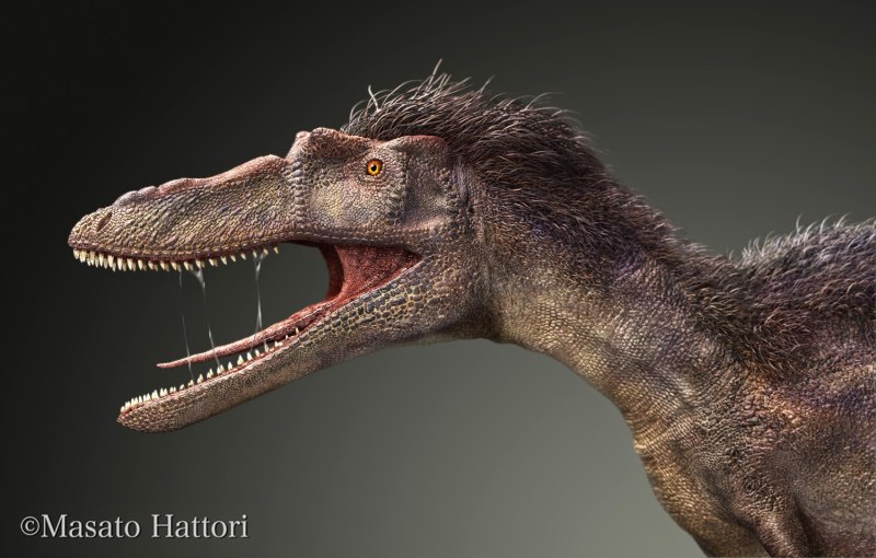 Quinzhozaurus sinensis
