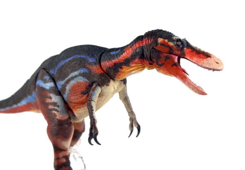 Qianzhousaurus sinensis
