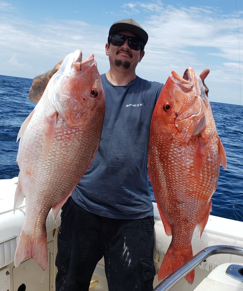 Морской окунь Red Snapper