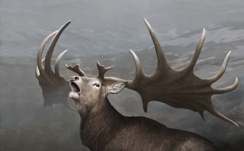 Ирландский олень (Megaloceros)