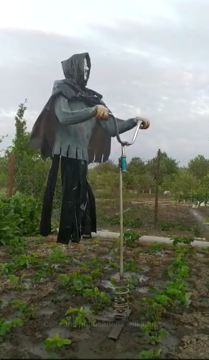 Пугало на пружине