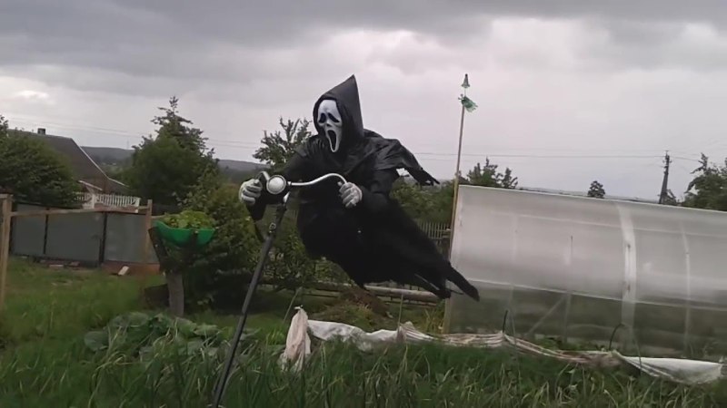 Огородное пугало дементор