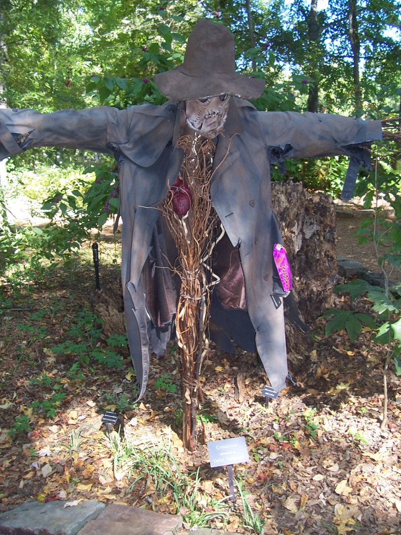Страшное чучело на огороде
