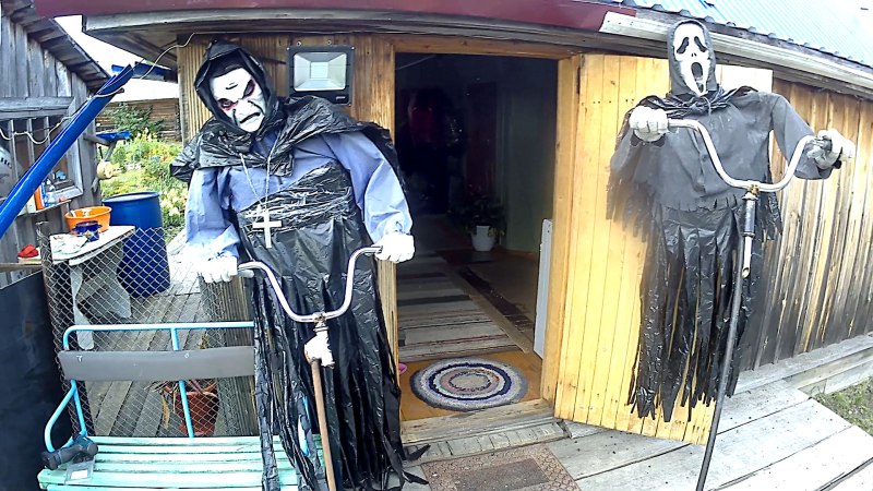 Чучело крик на огороде