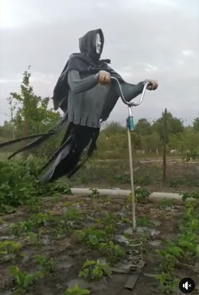 Летающее чучело в огороде