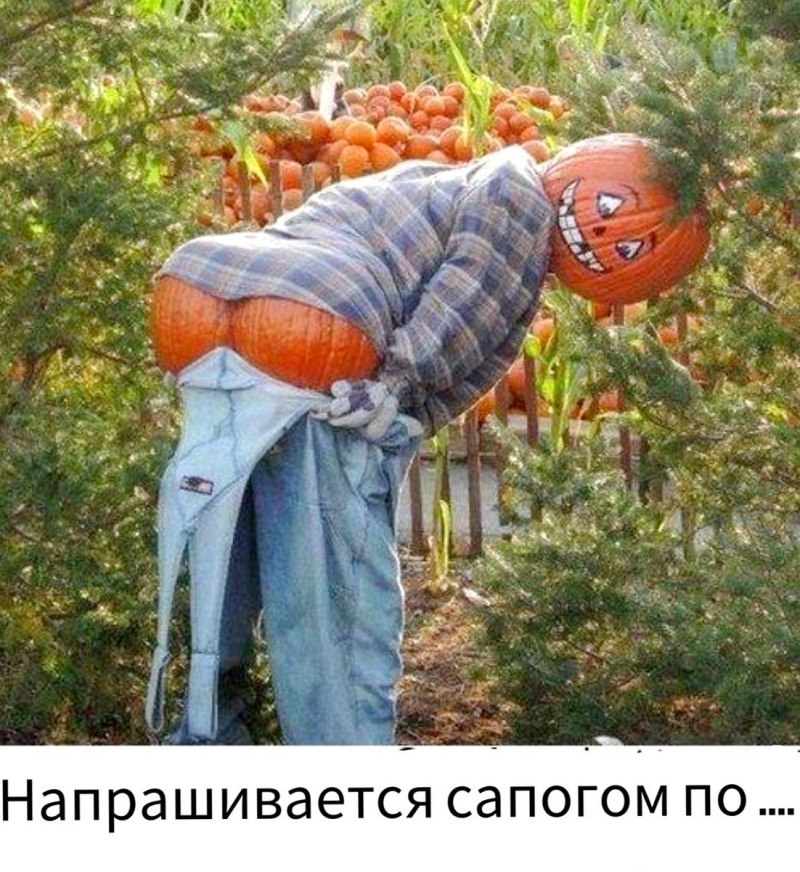 Чучело в огород прикольное