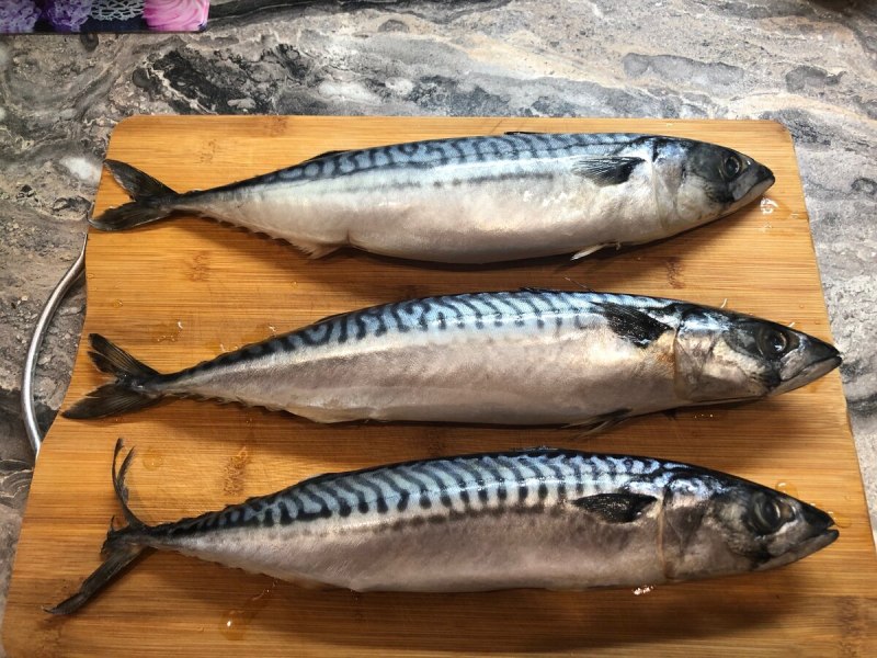 Скумбрия Мавританка