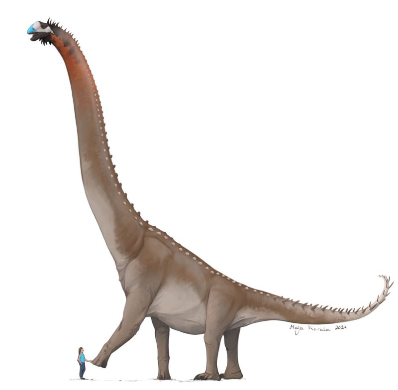 Giraffatitan brancai