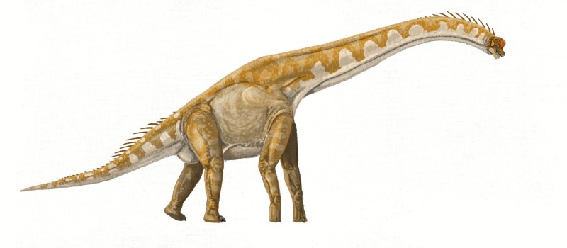Brachiosaurus brancai