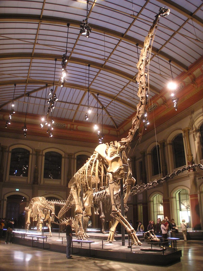 Музей естествознания в Берлине, Германия (Museum fur Naturkunde)