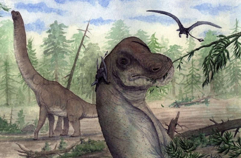 Giraffatitan brancai