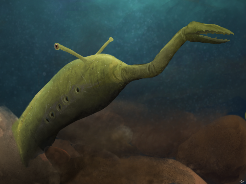 Tullimonstrum gregarium
