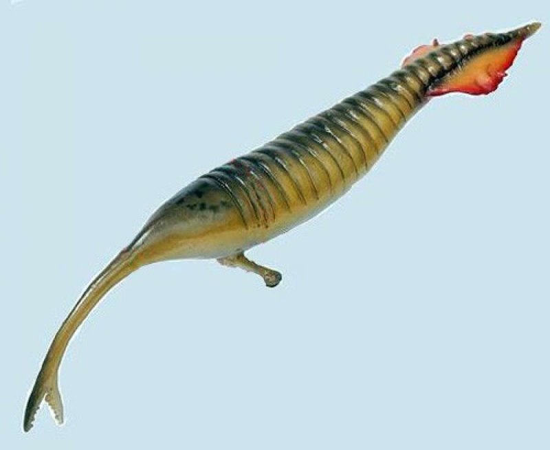 Tullimonstrum gregarium