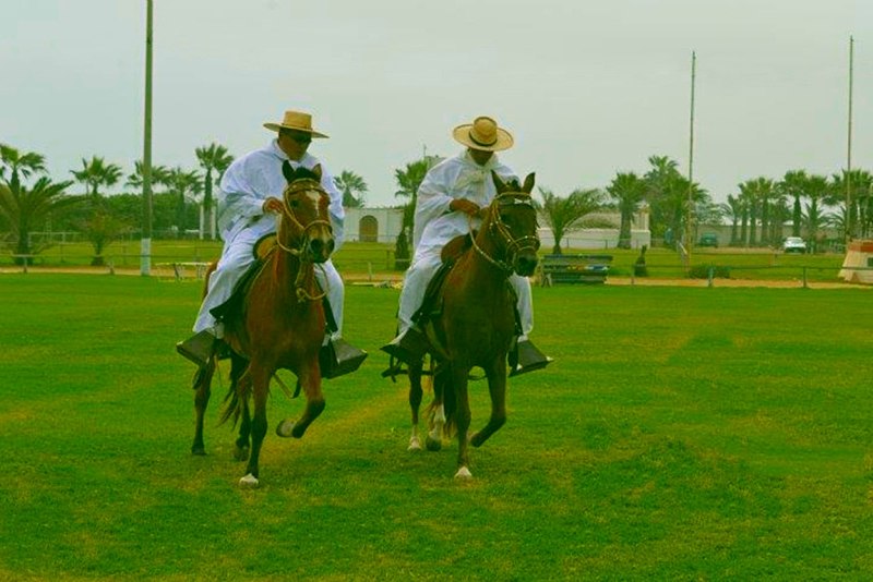 Juan caballo Halloween