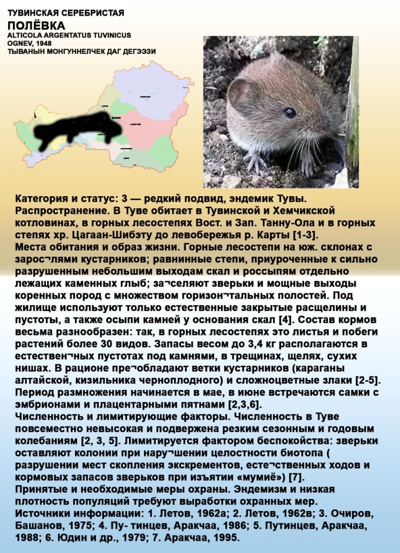 Эндемики Тувы