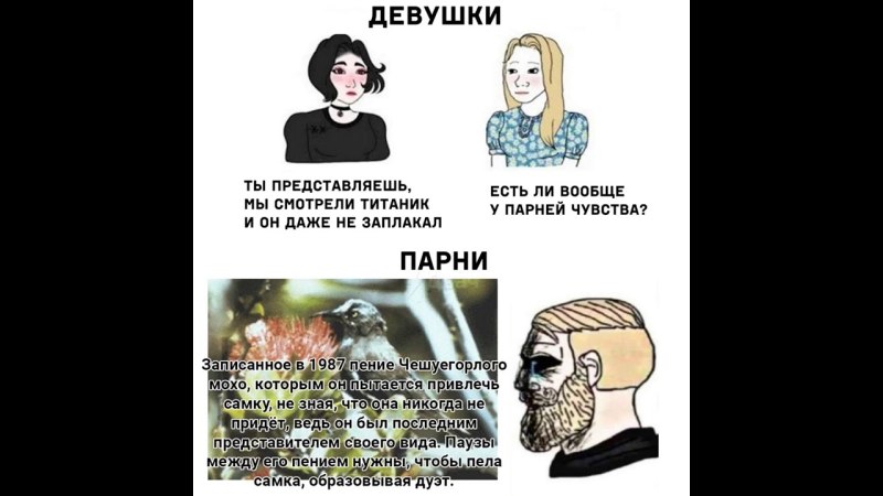 Чешуегорлый Мохо 1987