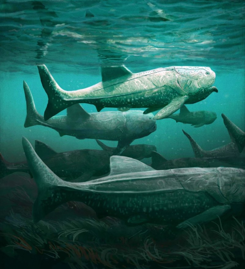 Titanichthys agassizi