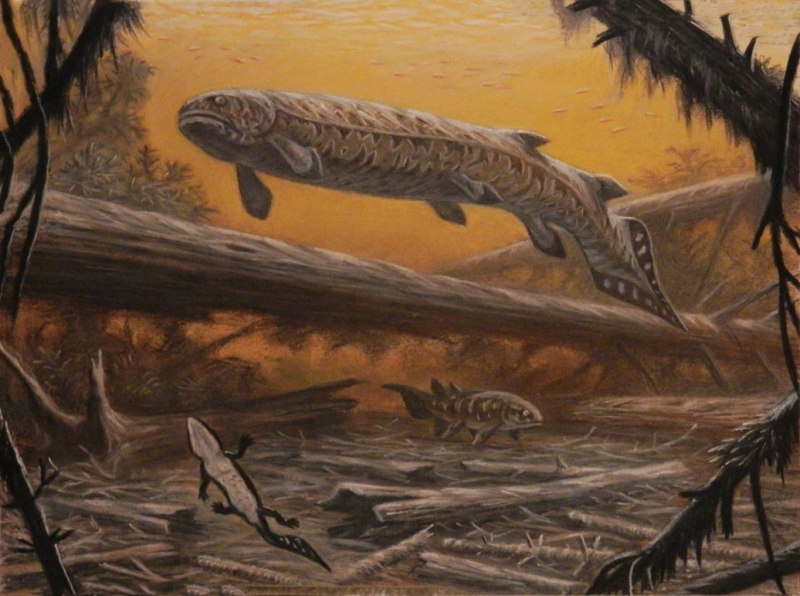 РИЗОДУС (Rhizodus hibberti)
