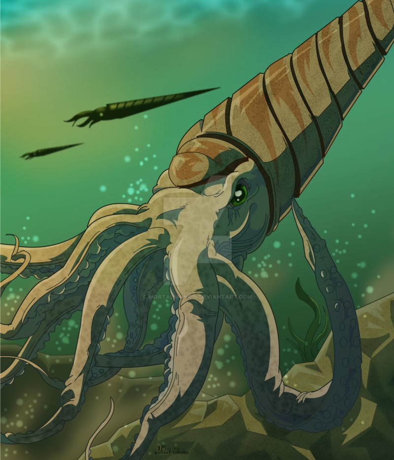 Giant Orthocone