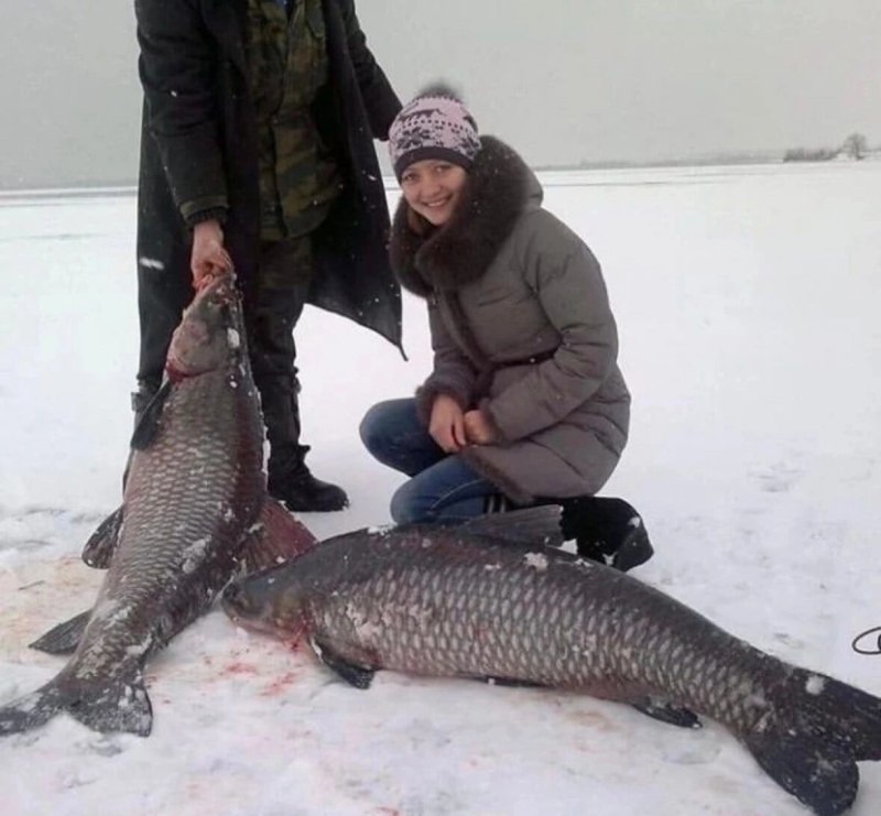 Черный Амур когда наступает жор