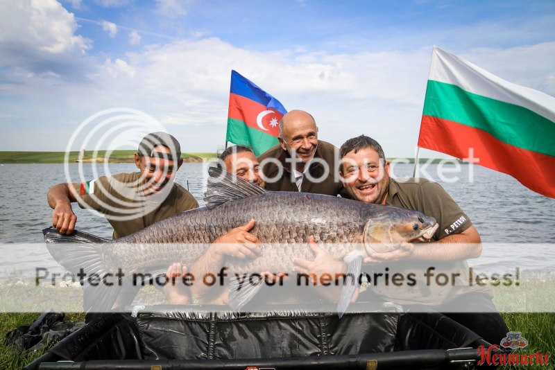 Огромный черный Амур