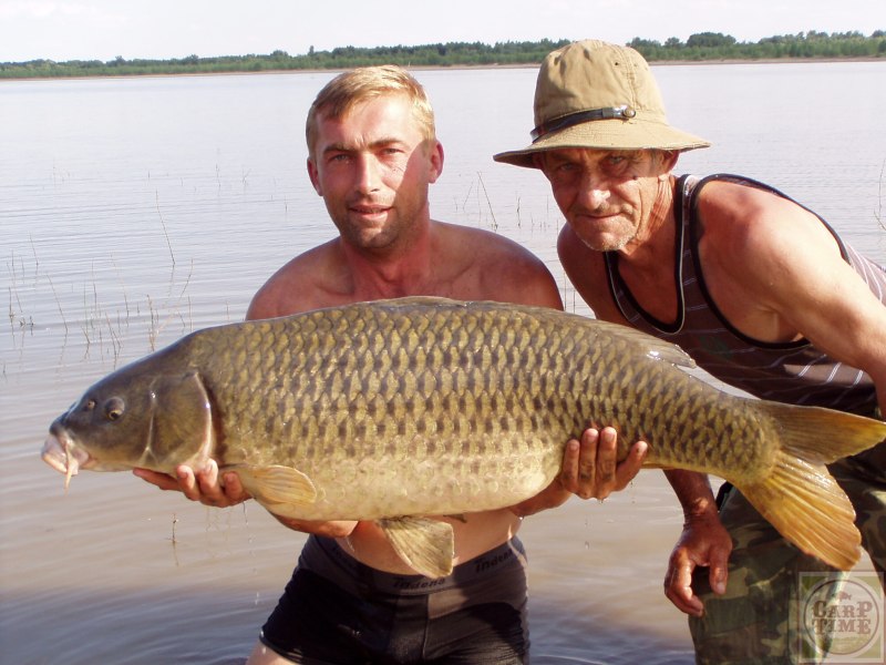 Белый Амур и черный Амур