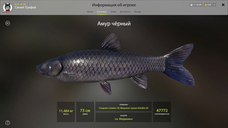Трофейный черный Амур