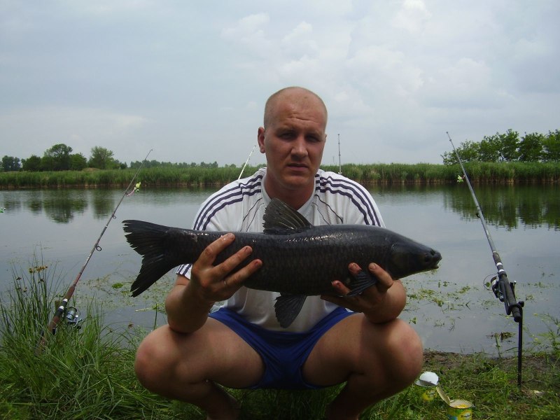 Ловля черного Амура