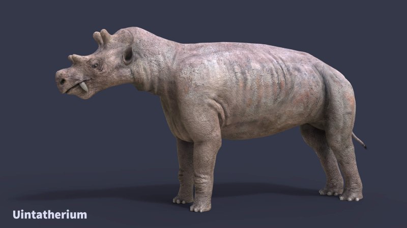 Trematosaurus