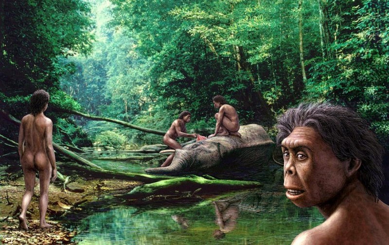 Человек флоресский homo floresiensis