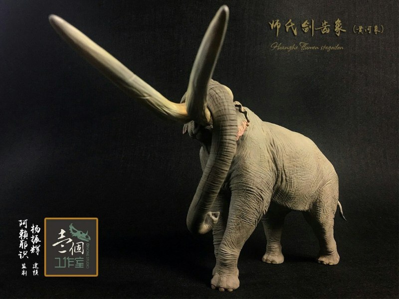 Stegodon orientalis