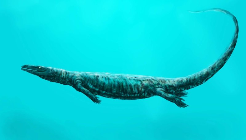 Мозазавр (Mosasaurus)