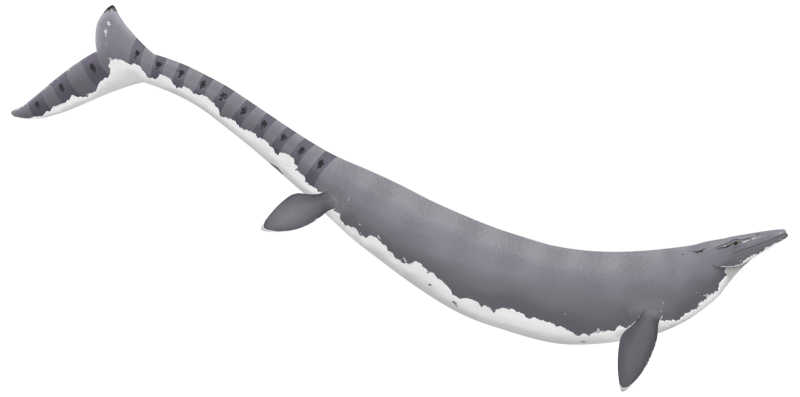 Фигурка Safari Ltd Мозазавр 287629