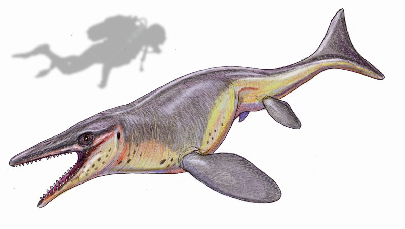 Рамфозух (Rhamphosuchus crassidens)