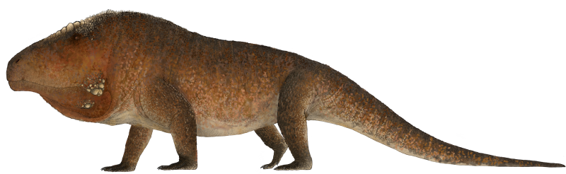 Uralosaurus Magnus