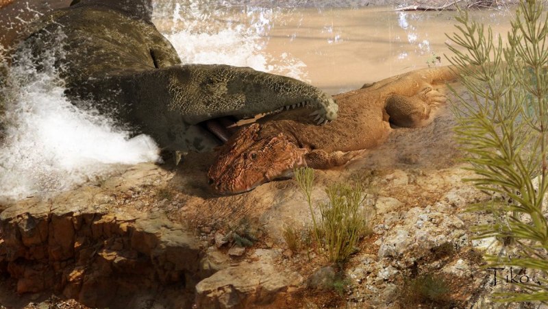 Proterosuchus fergusi