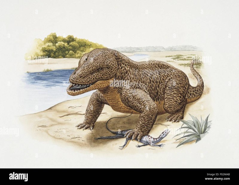 Erythrosuchus africanus