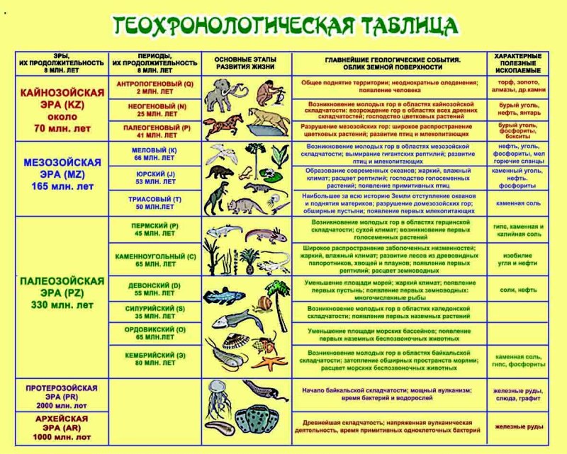 Таблица по биологии эры и периоды 9 класс