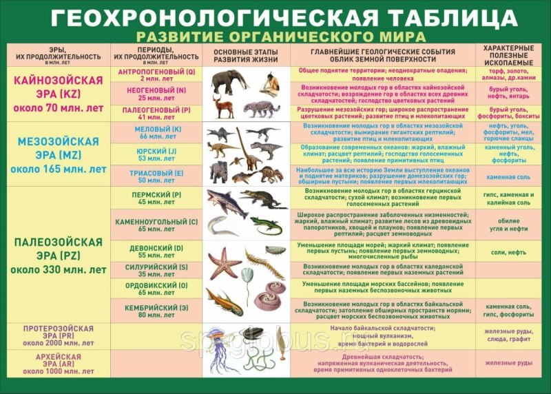 Эры и периоды развития органического мира