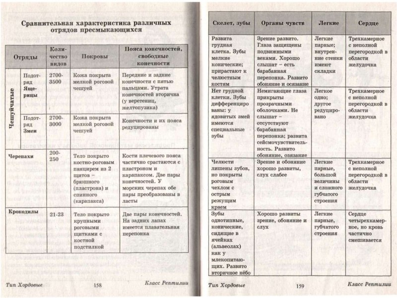 Класс птицы 7 класс биология таблица